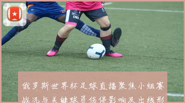 俄罗斯世界杯足球直播聚焦小组赛战况与关键球员伤停影响及出线形势解读