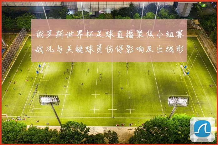 俄罗斯世界杯足球直播聚焦小组赛战况与关键球员伤停影响及出线形势解读