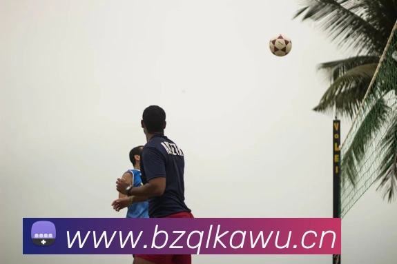 多媒体互动体验